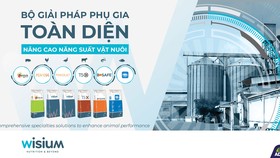 Wisium với bộ giải pháp phụ gia toàn diện nâng cao năng suất vật nuôi