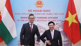 Bộ trưởng Bộ Ngoại giao Phạm Bình Minh với Bộ trưởng Ngoại giao và Kinh tế đối ngoại Hungary Szijjártó Péter. Ảnh: TTXVN
