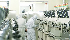 SMEs đang là trụ cột của xuất khẩu Hàn Quốc