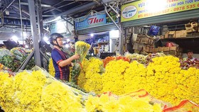 Hàng tết ùa về thành phố