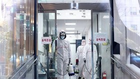 Lực lượng chức năng khử trùng một bệnh viện ở Busan, cách Seoul 450km về phía Đông Nam, ngày 24-2. Ảnh: Yonhap