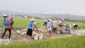 Hơn 2.900 xã vùng dân tộc thiểu số về đích nông thôn mới