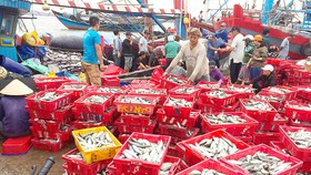 Lộc biển đầu hè