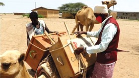 Thư viện trên lưng lạc đà ở Ethiopia