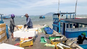 Kiên Giang và Cà Mau chung tay chống khai thác thủy sản bất hợp pháp