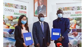 T&T Group thu mua toàn bộ sản lượng điều thô của Chính phủ Bờ Biển Ngà