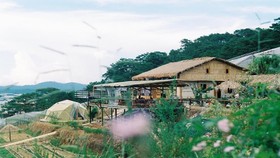 Chấn chỉnh mô hình farmstay trái phép