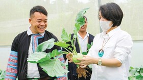 Nông dân đổi đời từ Chương trình sinh kế cộng đồng