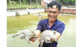 Từ Chiến khu đến Chiến khu - Bài 3: Xã anh hùng xây dựng nông thôn mới