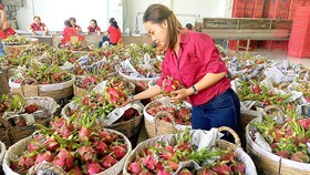 Xuất khẩu nông sản sang EU tăng