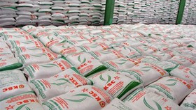 Đấu giá nhập khẩu 103.000 tấn đường