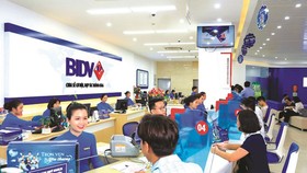 Ngành ngân hàng đã vào cuộc nhanh chóng với các giải pháp đồng bộ, hiệu quả, tháo gỡ khó khăn cho khách hàng.