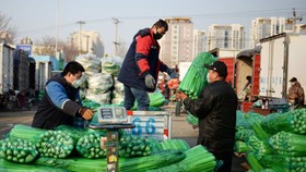 Mưa lũ ở Trung Quốc làm tồi tệ thêm cuộc khủng hoảng giá thực phẩm sau cú sốc Covid-19