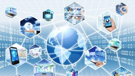 Vietnam needs to actively participate in the global value chain.