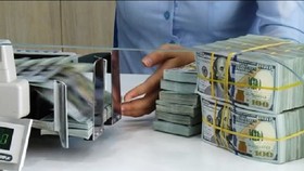 Foreign direct investment must be selective in Vietnam