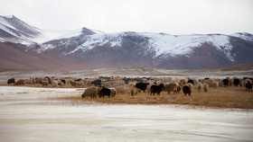 Vùng đất Ladakh bí ẩn được bao quanh bởi hai dãy núi hùng vĩ, dãy Himalaya vĩ đại và dãy Karakoram