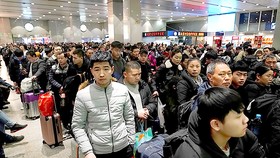 Mùa xuân vận với nhiều kỷ lục mới