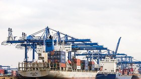 Liên kết, hợp tác cùng phát triển
