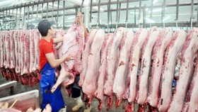 Đối với mặt hàng thịt heo, giá bán chung trên thị trường vẫn ổn định