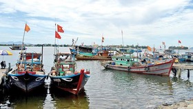 Đà Nẵng không có tàu cá vi phạm vùng biển nước ngoài