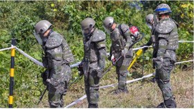 Các binh sỹ Hàn Quốc dò mìn trong Khu phi quân sự. Ảnh: Reuters