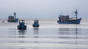 Phạt 4 tàu cá đánh bắt trái phép 3,6 tỷ đồng