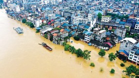 Mỹ viện trợ 100.000 USD giúp Việt Nam ứng phó bão Linfa