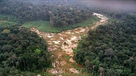 Khoảng rừng Amazon bị chặt phá tại Brazil. Ảnh: AFP/TTXVN