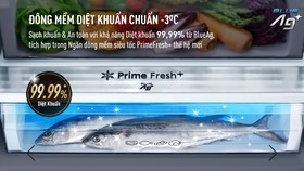 Chị em “nhàn” nhờ chọn tủ lạnh đông mềm chuẩn