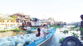 Tròng trành chợ nổi - Bài 1: Nhọc nhằn kiếp thương hồ