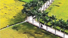 Thực hiện Nghị định 100 ở nông thôn mạnh hơn