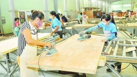Tiếp tục mở rộng đối tượng gia hạn nộp thuế và tiền thuê đất