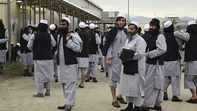 Afghanistan: Phóng thích tù nhân Taliban đổi lệnh ngừng bắn