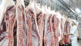Vissan đổi mới quy trình giết mổ gia súc theo công nghệ hiện đại. Ảnh: THANH HẢI