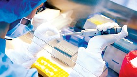 Nghiên cứu vaccine trong phòng thí nghiệm tại thành phố Saint Petersburg, Nga