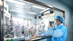 Virus bí ẩn chưa có điểm dừng