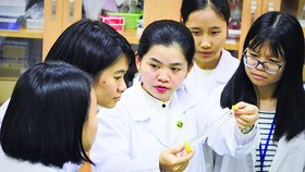 Năm trí tuệ Việt Nam tỏa sáng