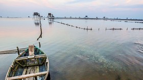 Thái Bình trong tôi…