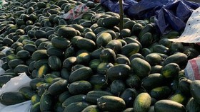 Đừng lạm dụng “giải cứu”
