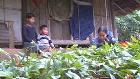 Hai mẹ con nghèo, bệnh nặng