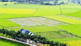Xây dựng nông thôn mới với khí thế mới