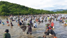 Độc đáo lễ hội đánh cá Đồng Hoa