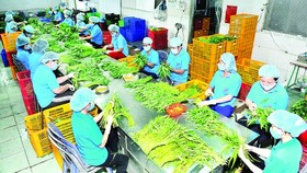 Xuất khẩu nông sản vào Thái Lan tăng