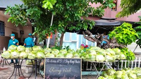Khi thành phố tôi đồng lòng