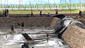 Bãi cọc cổ ở Hải Phòng - Nhiều bí ẩn cần được khám phá