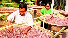 Xuất khẩu nông sản vào thị trường Mỹ: Tận dụng tốt vai trò doanh nghiệp kiều bào