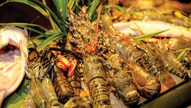 Du hành mùa lễ hội tại khách sạn Hôtel Des Arts Saigon
