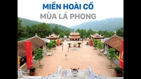 Miền hoài cổ mùa lá phong