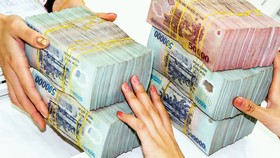 Ổn định 2019 tự tin 2020