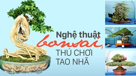 Nghệ thuật bonsai thú chơi tao nhã